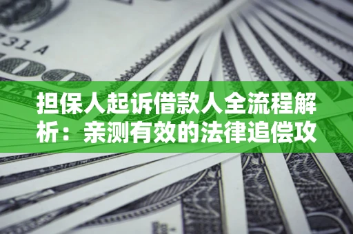 济南担保人起诉借款人全流程解析：亲测有效的法律追偿攻略
