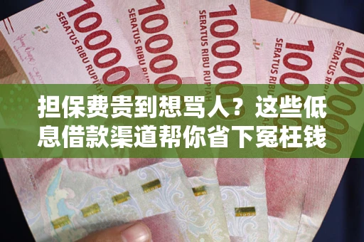 济南担保费贵到想骂人？这些低息借款渠道帮你省下冤枉钱