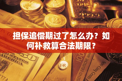 济南担保追偿期过了怎么办？如何补救算合法期限？